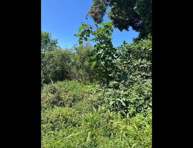 LAND FOR SALE IN CATO MANOR